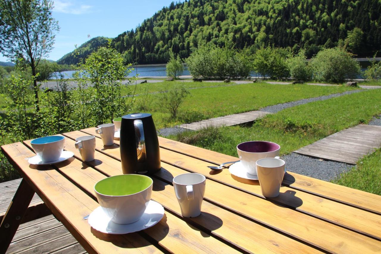 Camping Des Lacs*** Villa Celles-sur-Plaine Kültér fotó